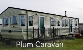 Plum Caravan 1 3-Bed 8 berth static caravan